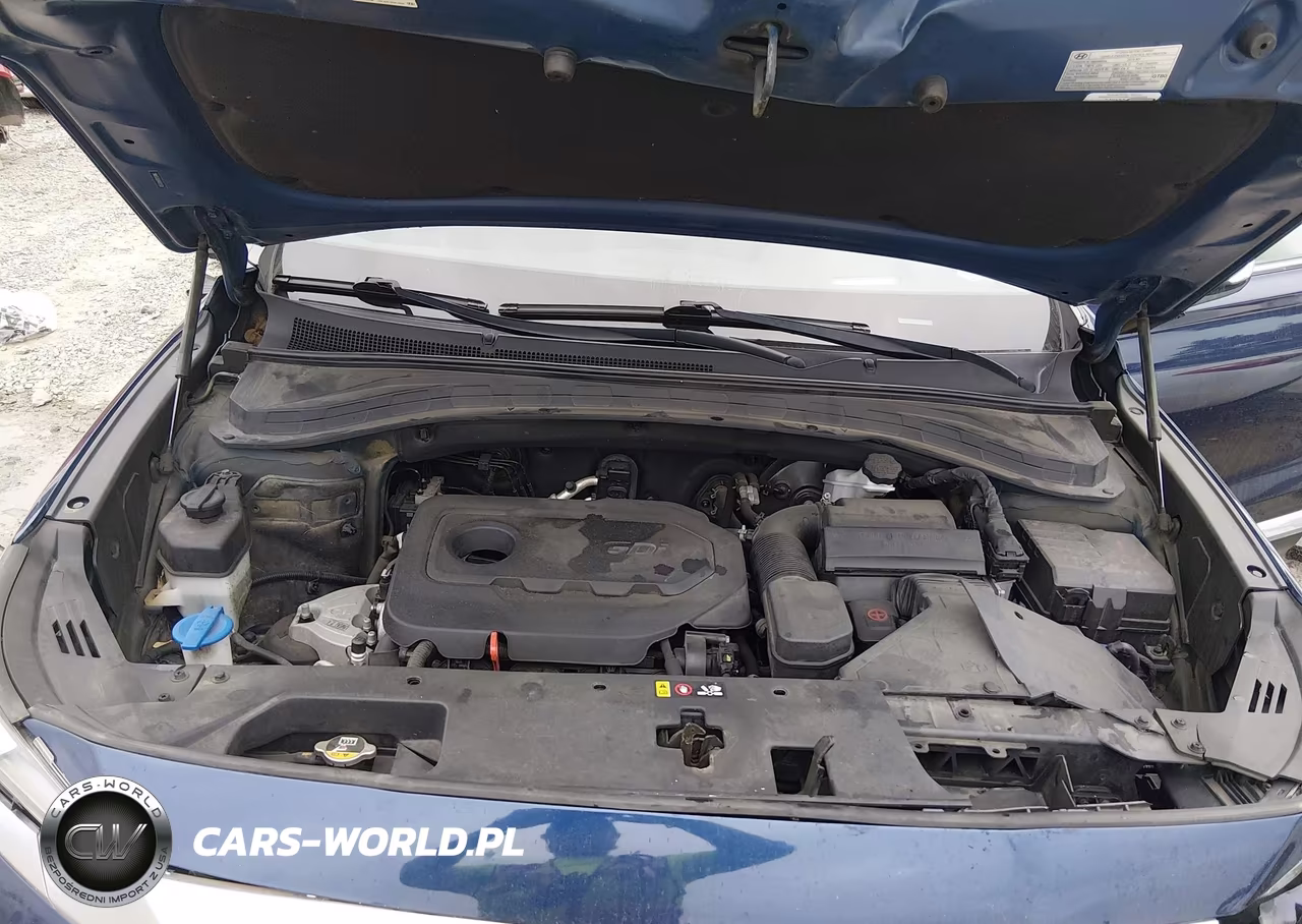 2019 Hyundai Santa Fe Ultimate VIN:5NMS5CAD3KH075338 - 10