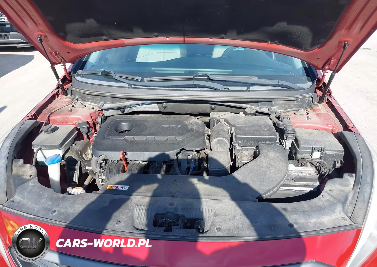 2017 Hyundai Sonata Sport VIN:5NPE34AF3HH480928 - 10