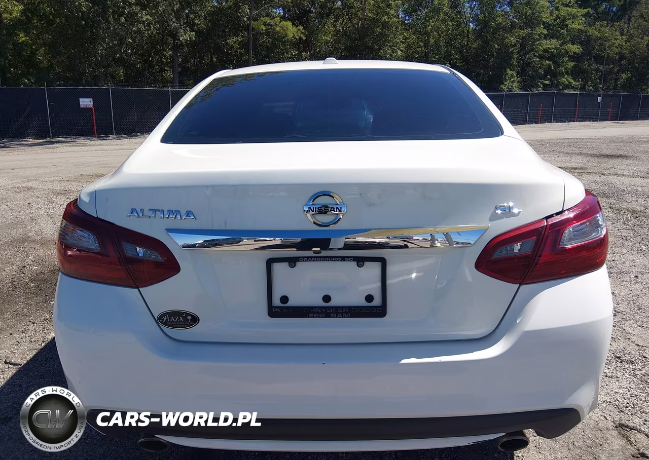 2018 Nissan Altima 2.5 Sl VIN:1N4AL3AP6JC175416 - 16