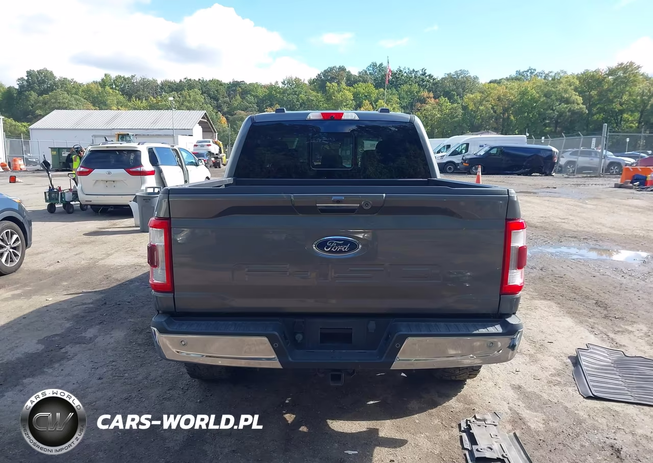 2021 Ford F-150 Lariat VIN:1FTFW1E58MFC30679 - 17