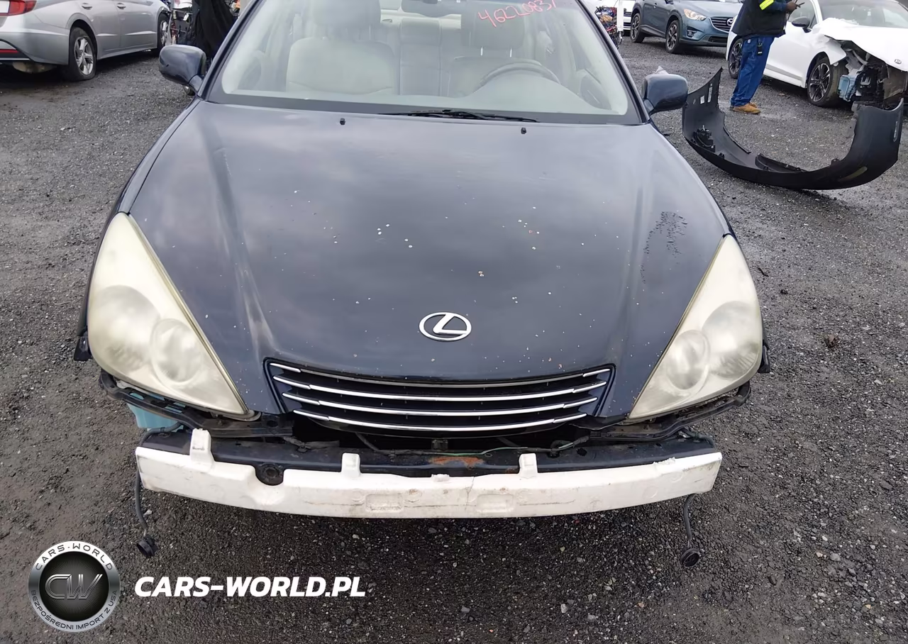 2002 Lexus Es 300 VIN:JTHBF30G825013184 - 13
