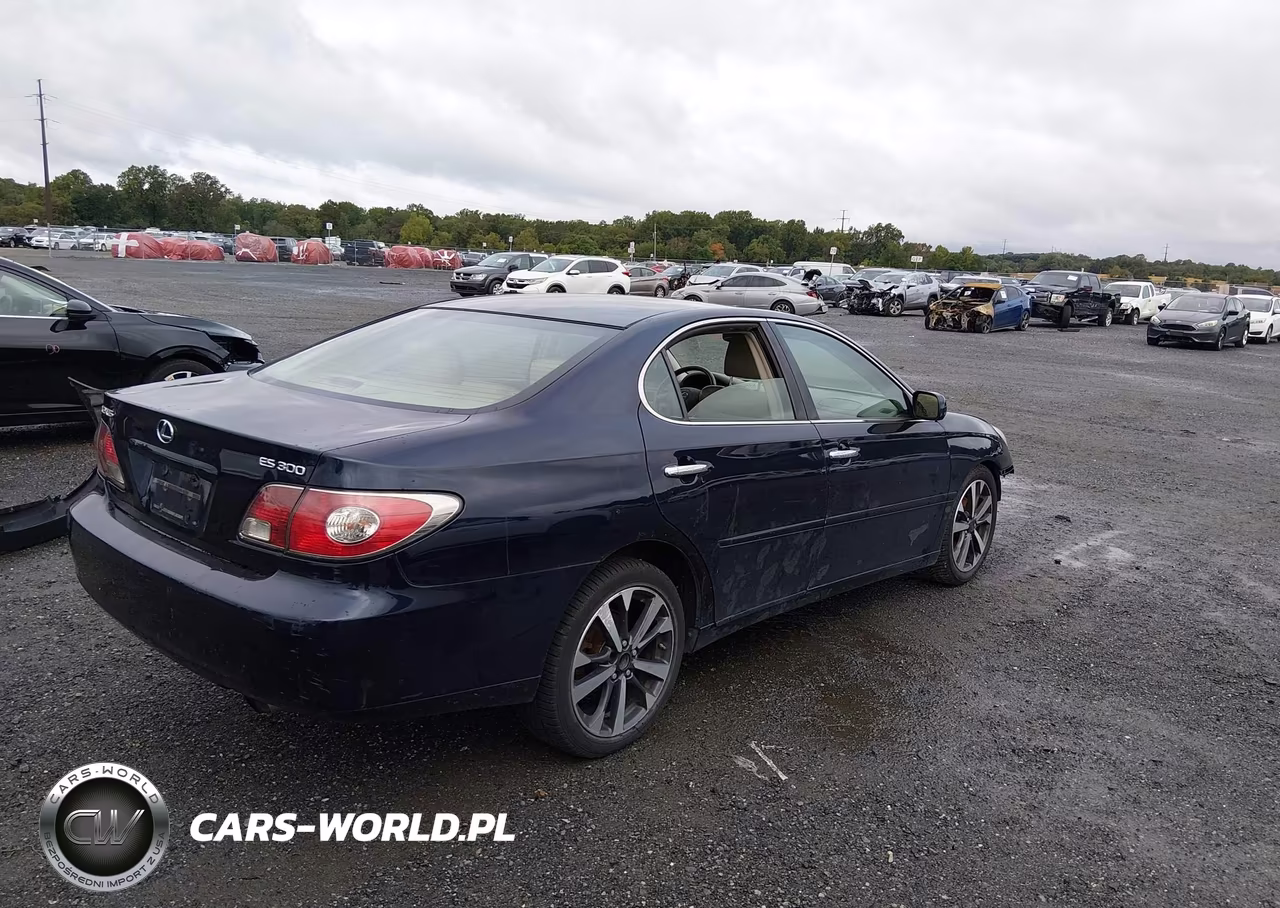 2002 Lexus Es 300 VIN:JTHBF30G825013184 - 4