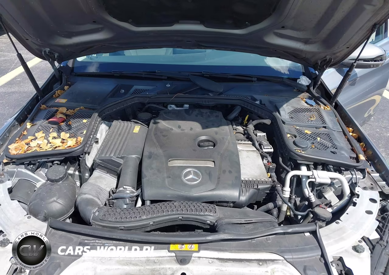 2015 Mercedes-Benz C-Class C 300 VIN:55SWF4JB8FU059418 - 10