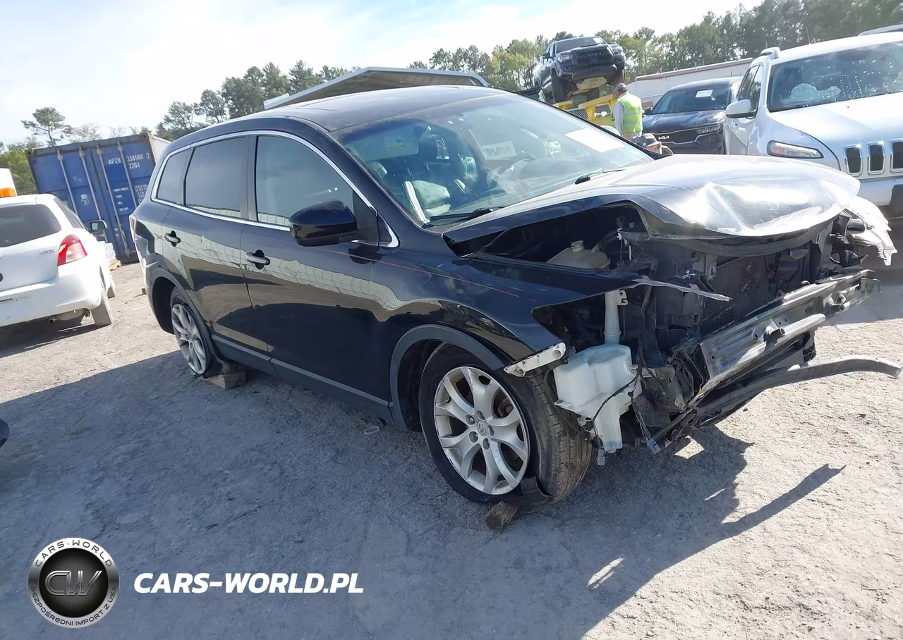 2011 Mazda Cx-9 Touring VIN:JM3TB3CV0B0318243 - 1