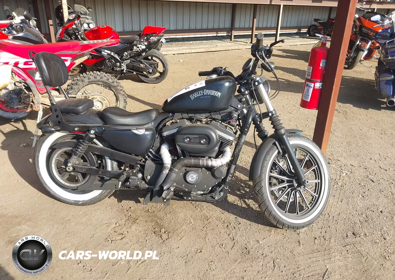 2014 Harley-Davidson Xl883 Iron 883 VIN:1HD4LE211EC445931 - 12