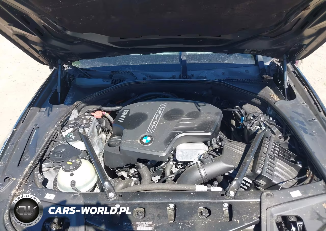 2015 BMW 528I VIN:WBA5A5C52FD521632 - 10