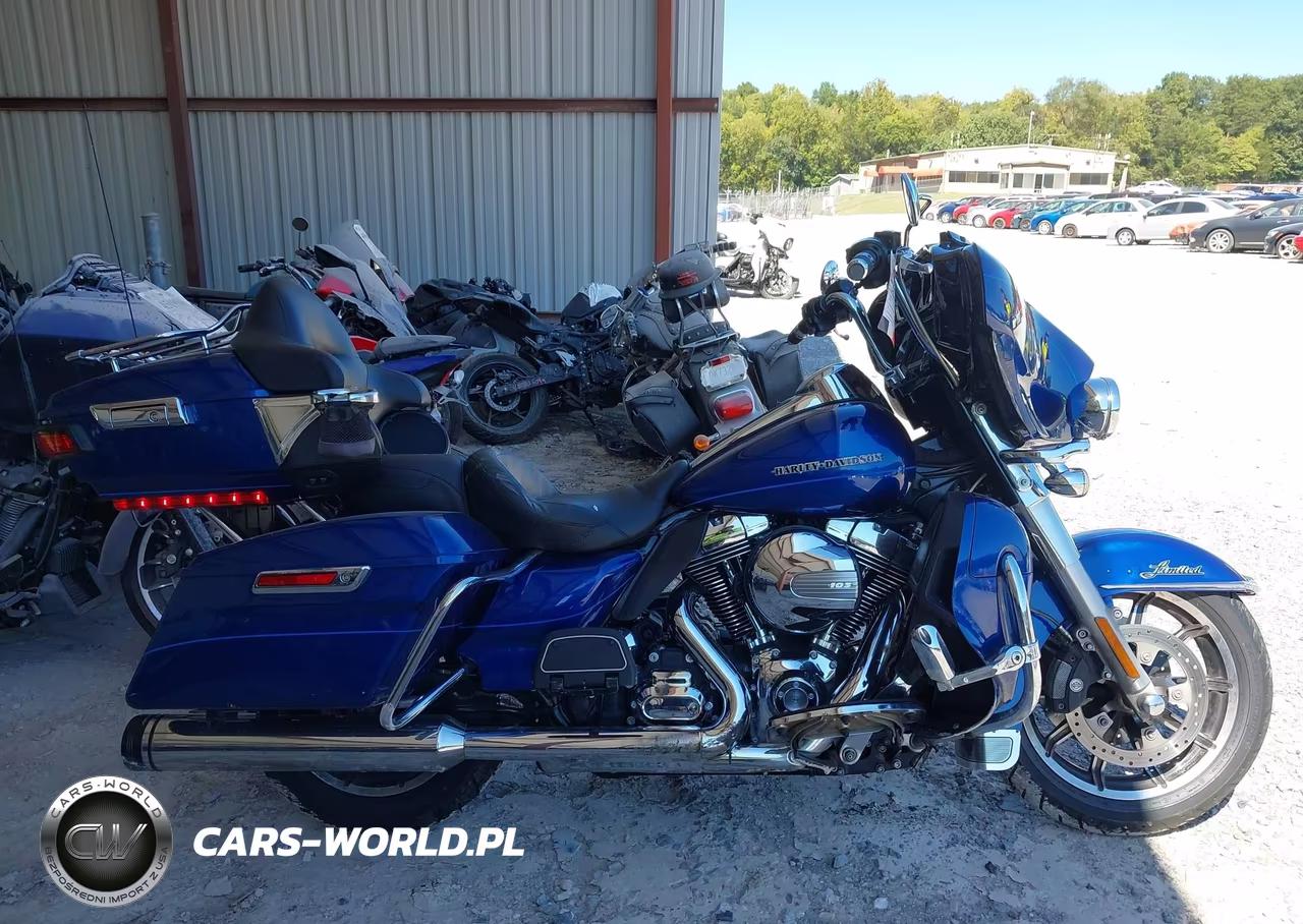 2015 Harley-Davidson Flhtk Ultra Limited VIN:1HD1KEL17FB616709 - 12