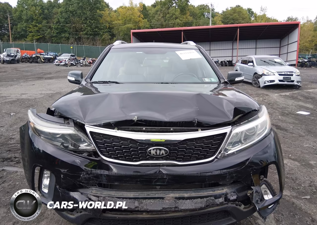 2015 Kia Sorento Lx VIN:5XYKTCA63FG655924 - 12