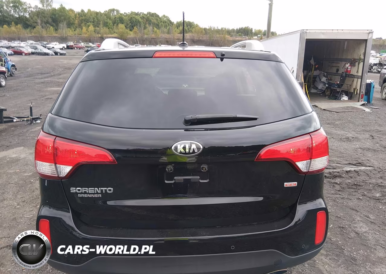 2015 Kia Sorento Lx VIN:5XYKTCA63FG655924 - 16