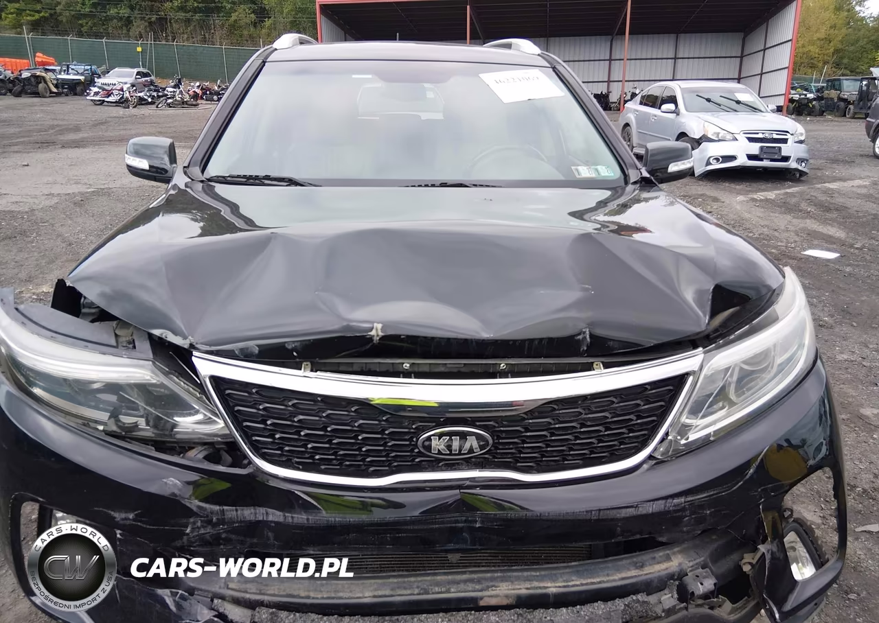 2015 Kia Sorento Lx VIN:5XYKTCA63FG655924 - 6