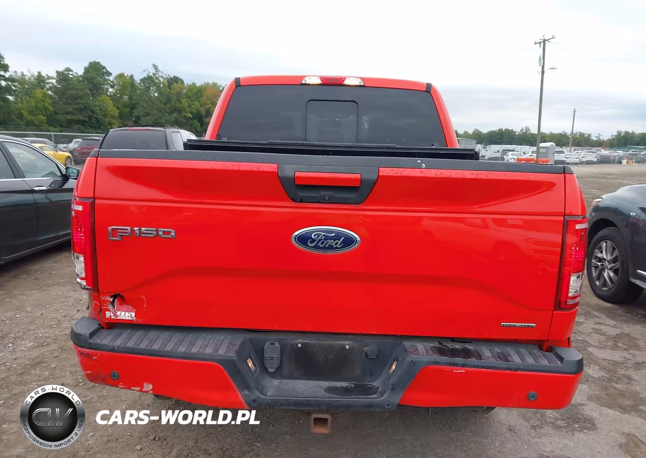 2015 Ford F-150 Xlt VIN:1FTEW1EF8FFC83535 - 16