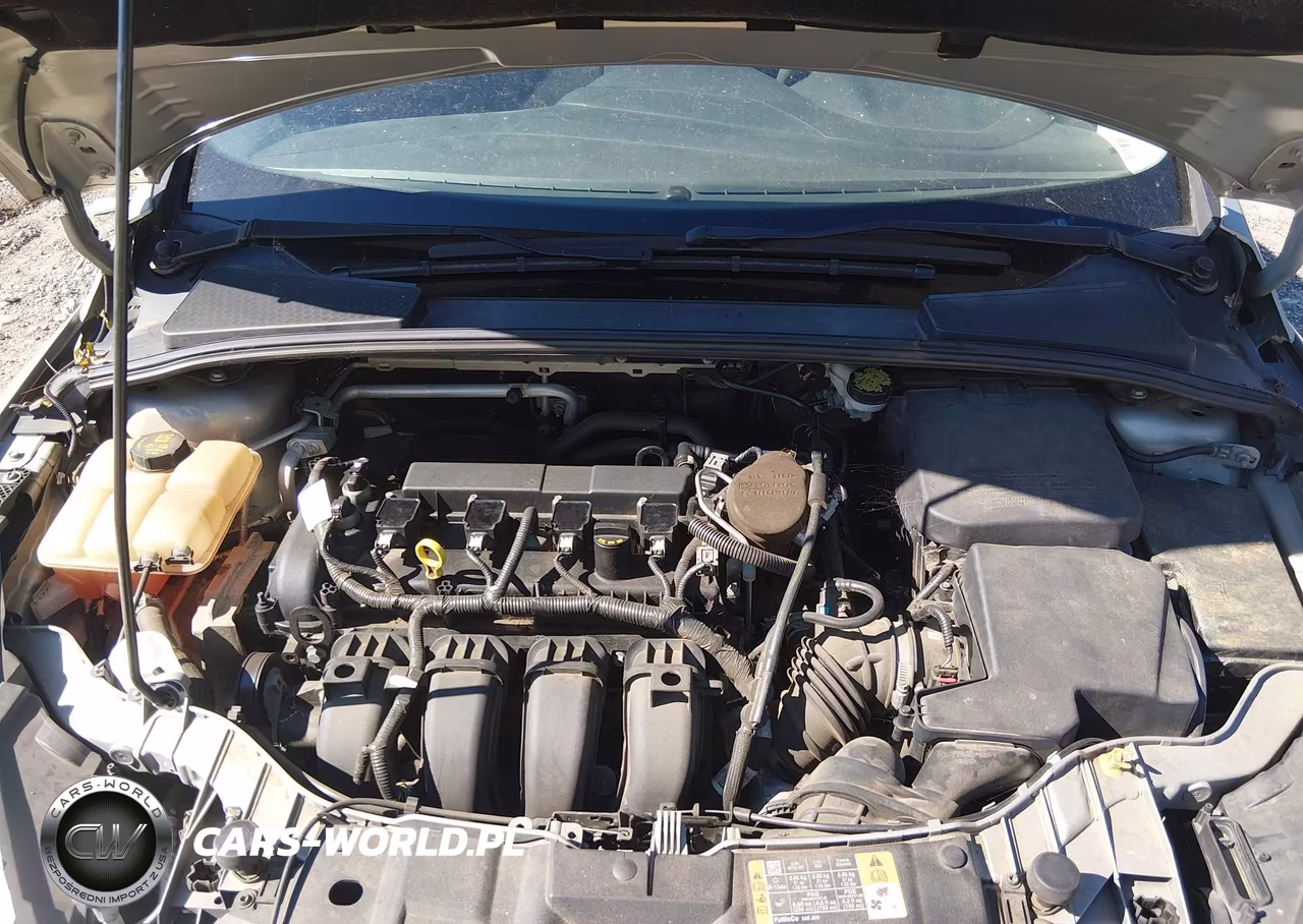 2016 Ford Focus Se VIN:1FADP3K24GL217174 - 10