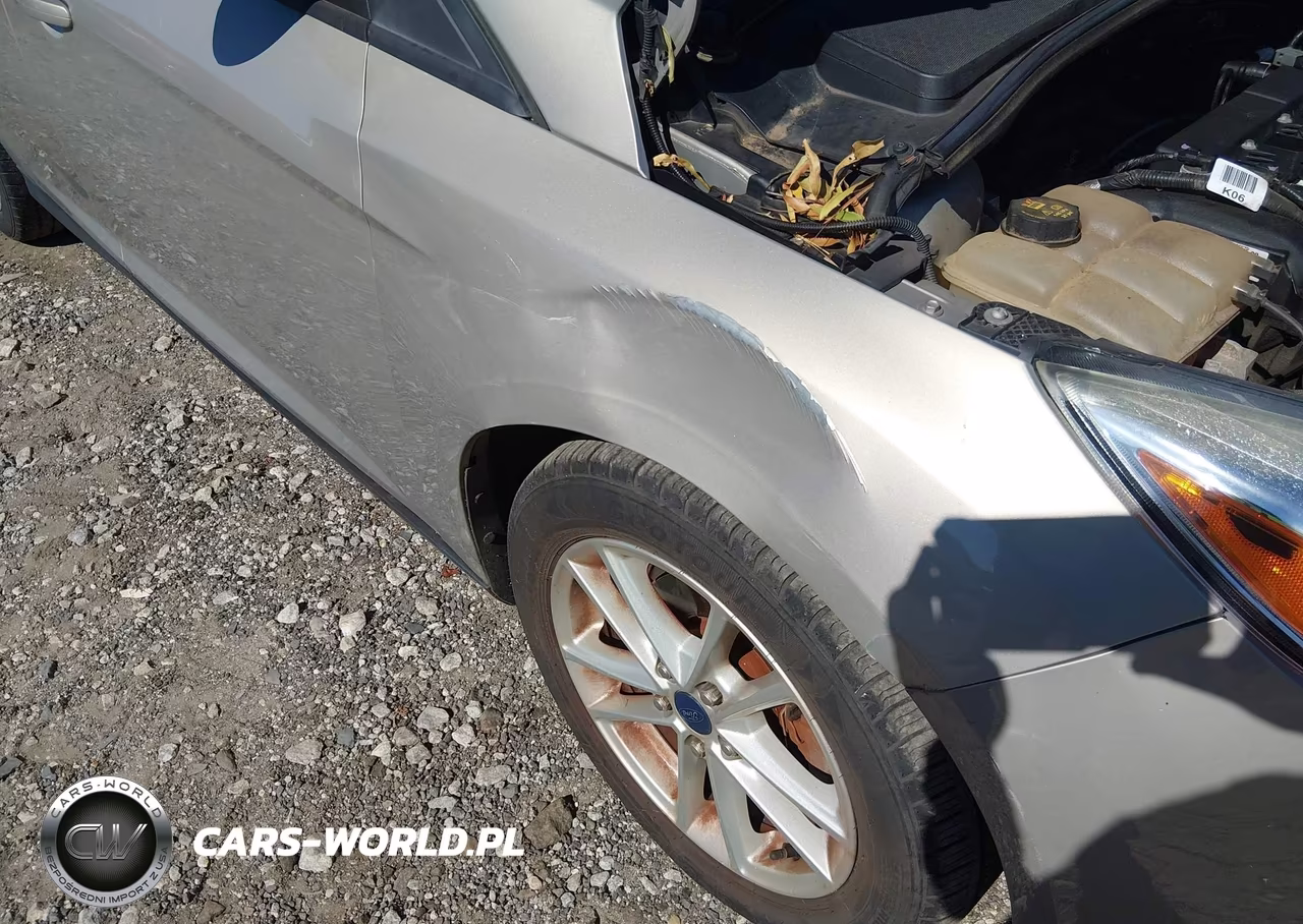 2016 Ford Focus Se VIN:1FADP3K24GL217174 - 12