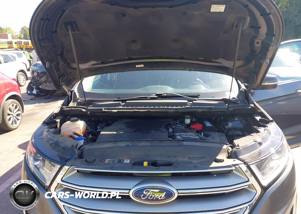 2016 Ford Edge Sel VIN:2FMPK3J84GBB61230 - 10