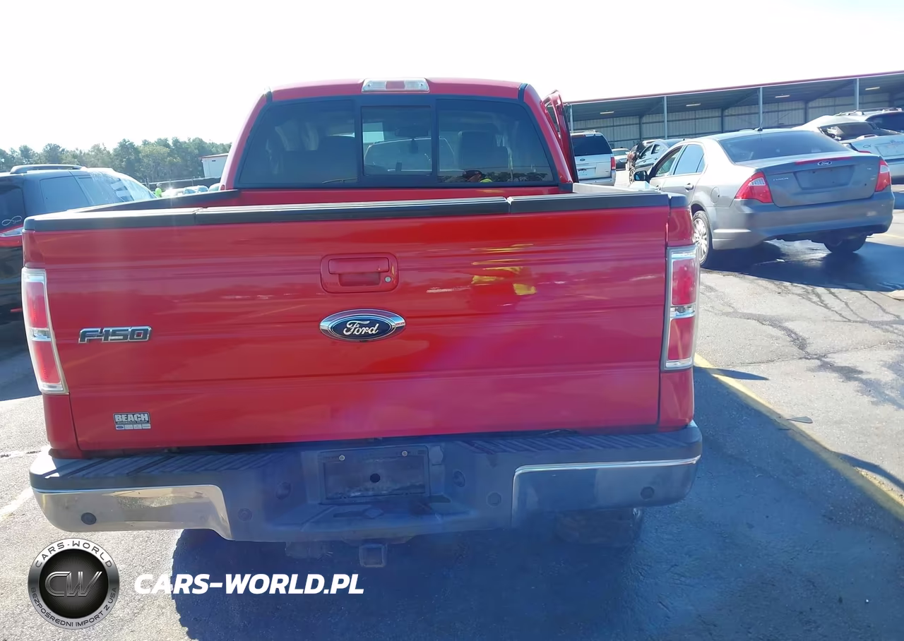 2009 Ford F-150 Fx4-King Ranch-Lariat-Platinum-Xl-Xlt VIN:1FTPW14V29FA67007 - 16