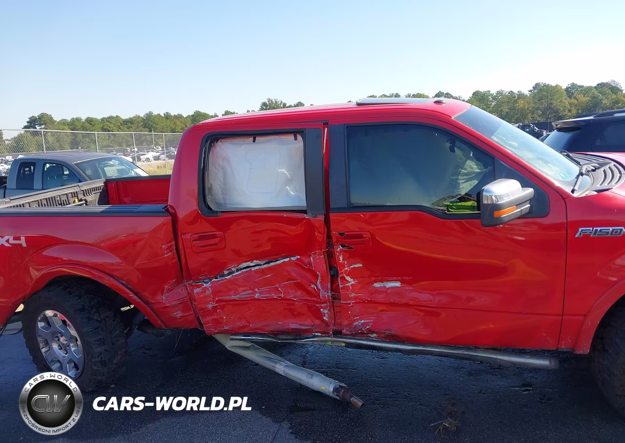 2009 Ford F-150 Fx4-King Ranch-Lariat-Platinum-Xl-Xlt VIN:1FTPW14V29FA67007 - 6