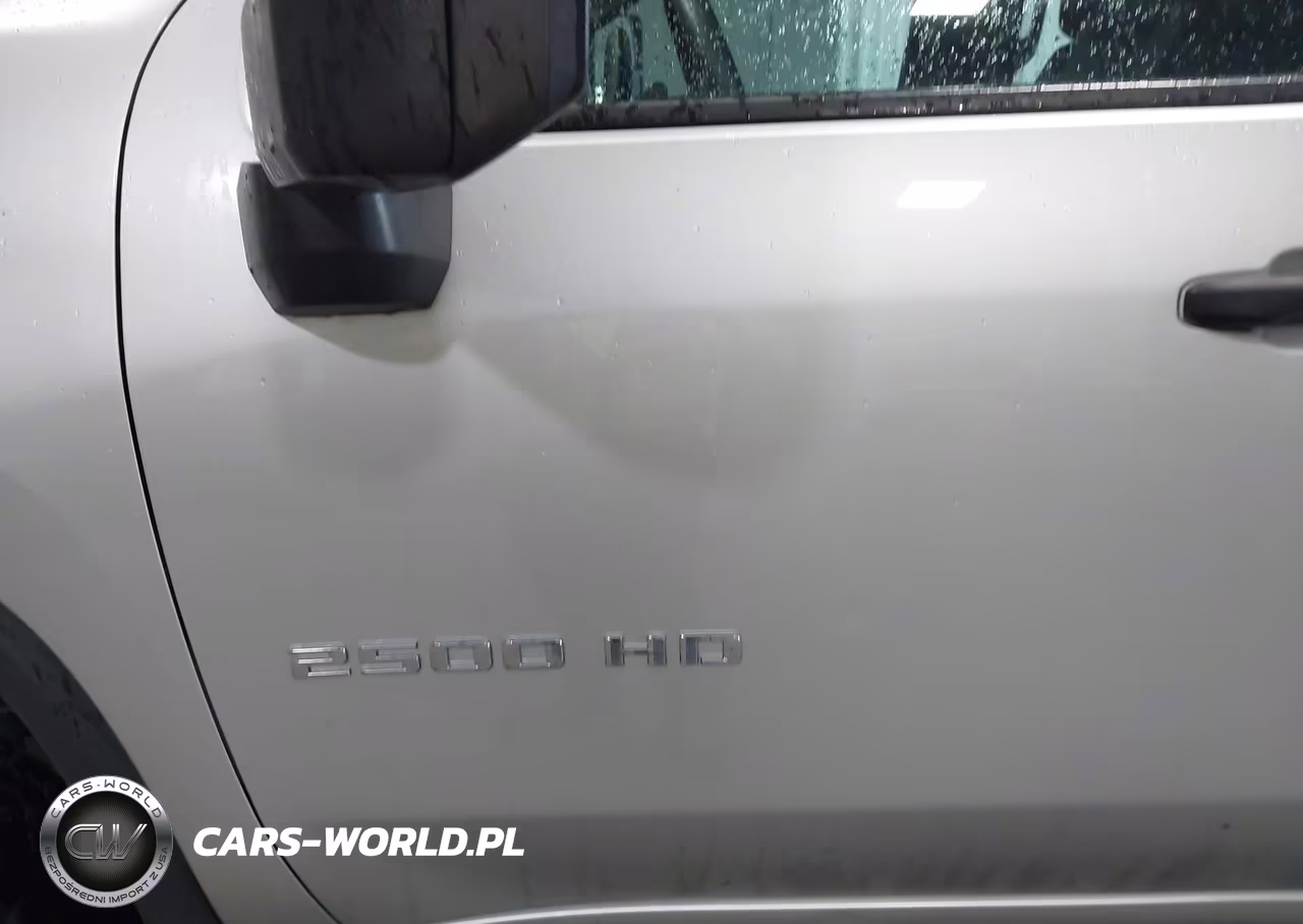 2020 Chevrolet Silverado 2500Hd 2Wd Long Bed Wt VIN:1GC4WLE76LF294688 - 15