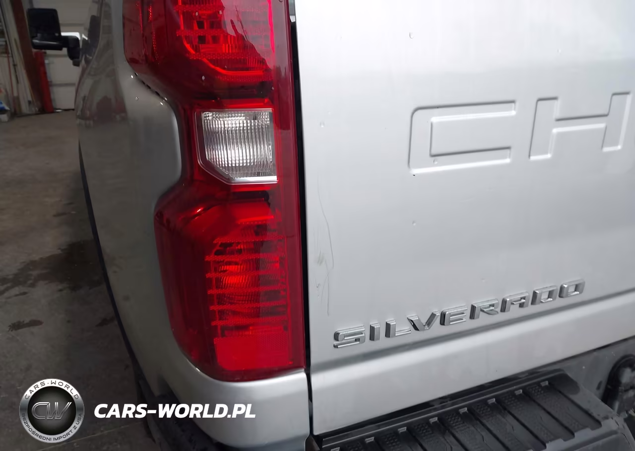 2020 Chevrolet Silverado 2500Hd 2Wd Long Bed Wt VIN:1GC4WLE76LF294688 - 6