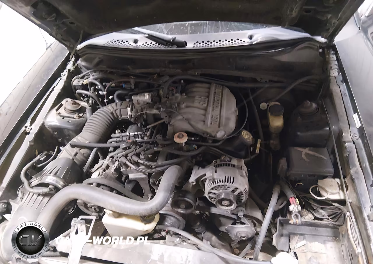 1997 Ford Mustang VIN:1FALP4041VF100511 - 10