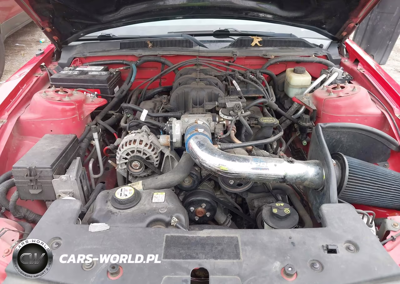 2006 Ford Mustang V6 VIN:1ZVHT80N265119343 - 10