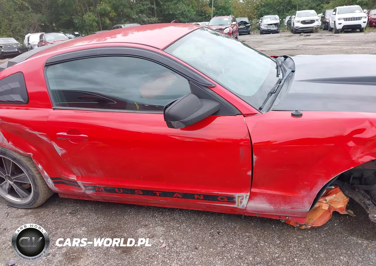 2006 Ford Mustang V6 VIN:1ZVHT80N265119343 - 13