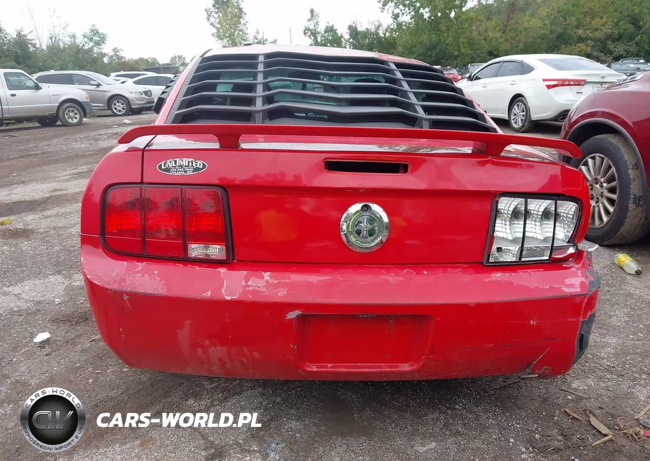 2006 Ford Mustang V6 VIN:1ZVHT80N265119343 - 16