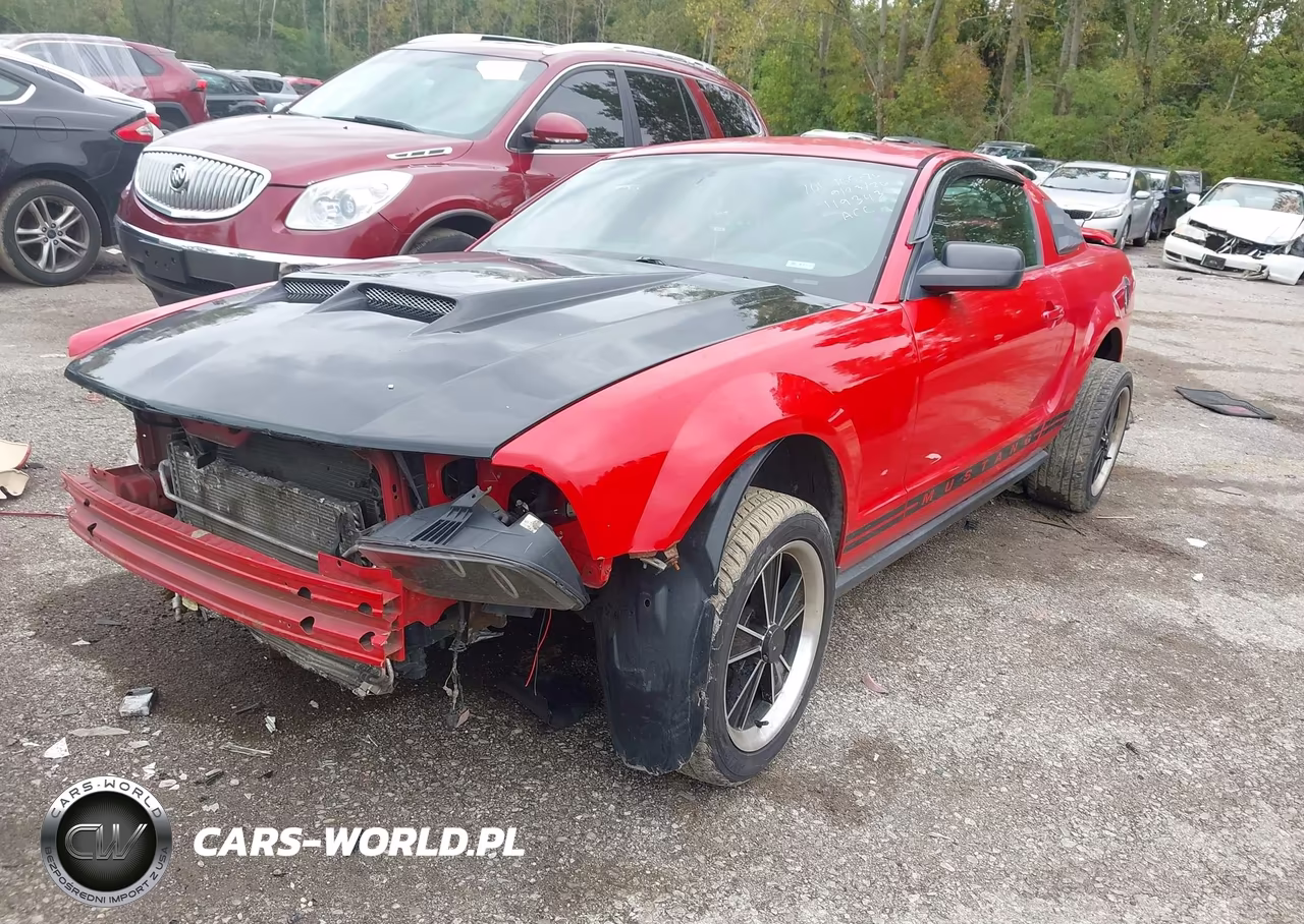 2006 Ford Mustang V6 VIN:1ZVHT80N265119343 - 2