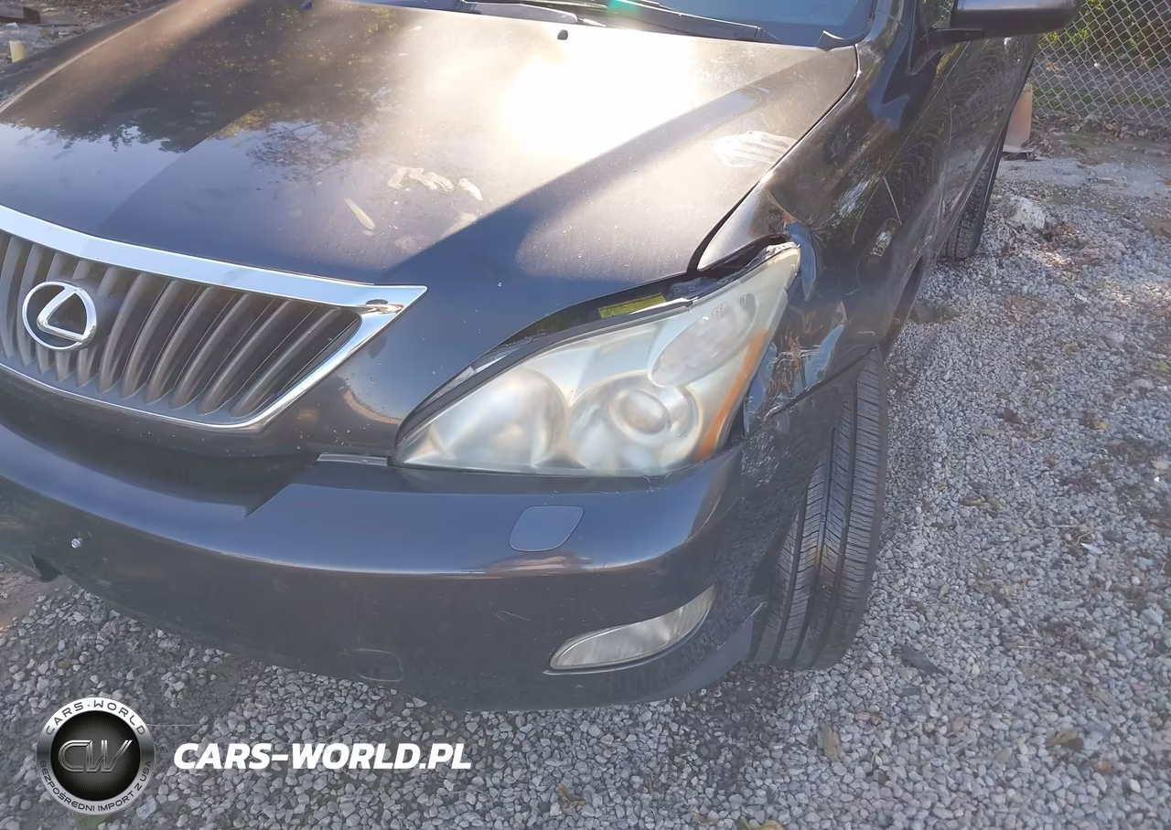 2009 Lexus Rx 350 VIN:2T2HK31U49C124707 - 17