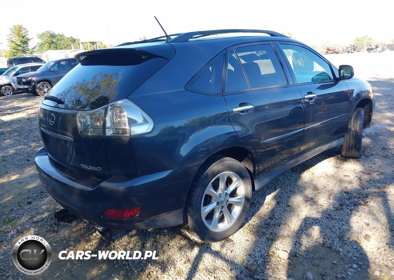 2009 Lexus Rx 350 VIN:2T2HK31U49C124707 - 4