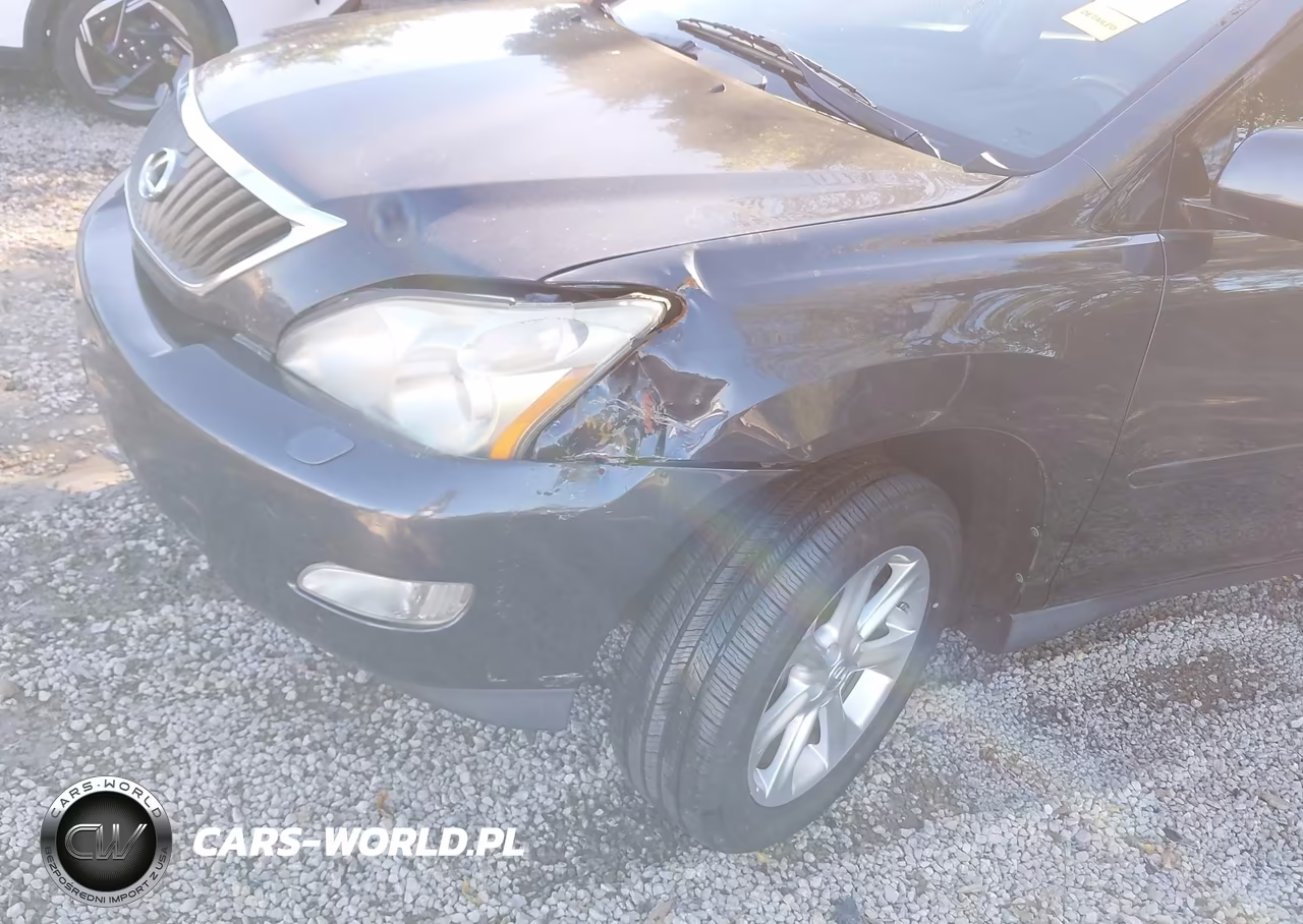 2009 Lexus Rx 350 VIN:2T2HK31U49C124707 - 6