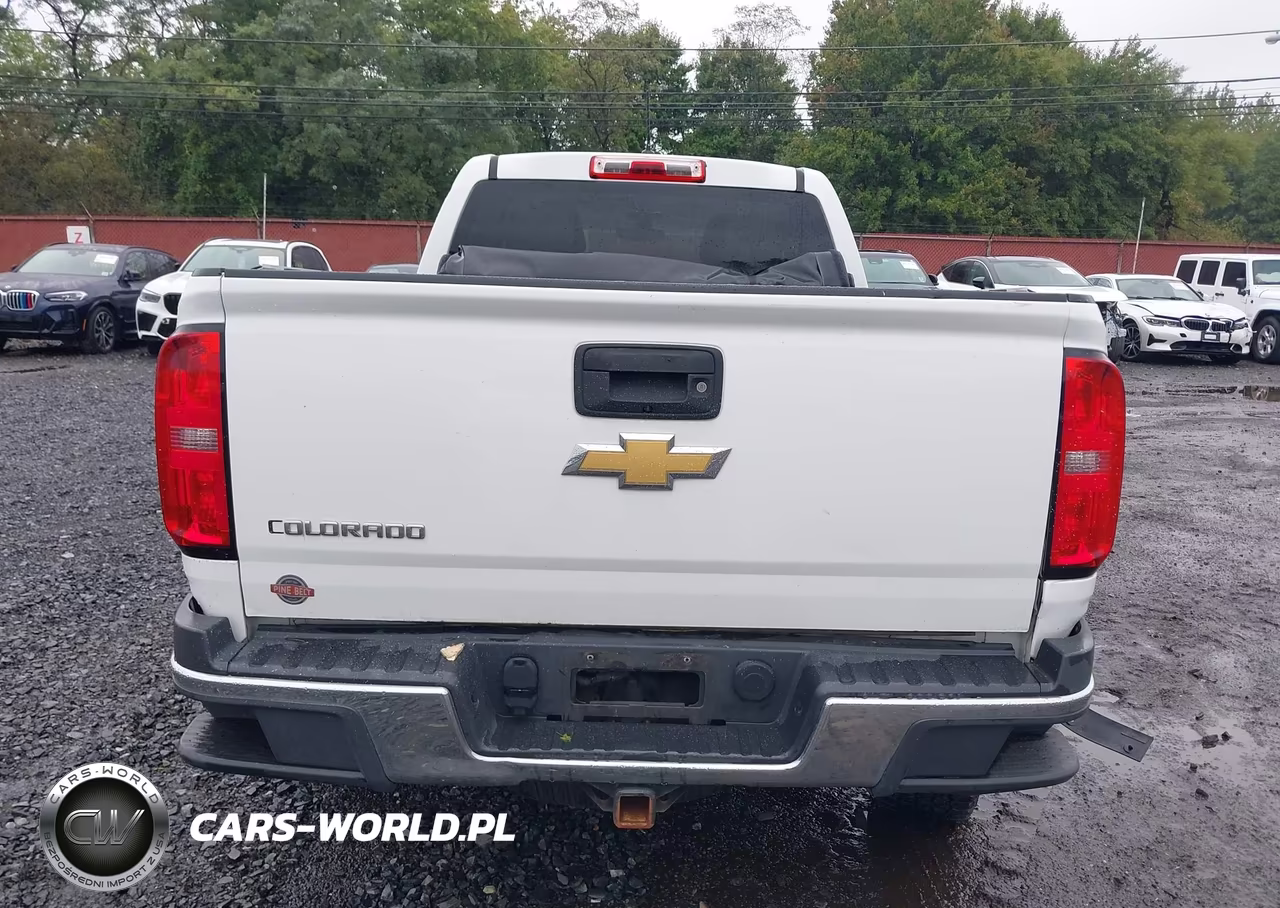 2016 Chevrolet Colorado 4Wd Wt VIN:1GCGTBE31G1364162 - 16