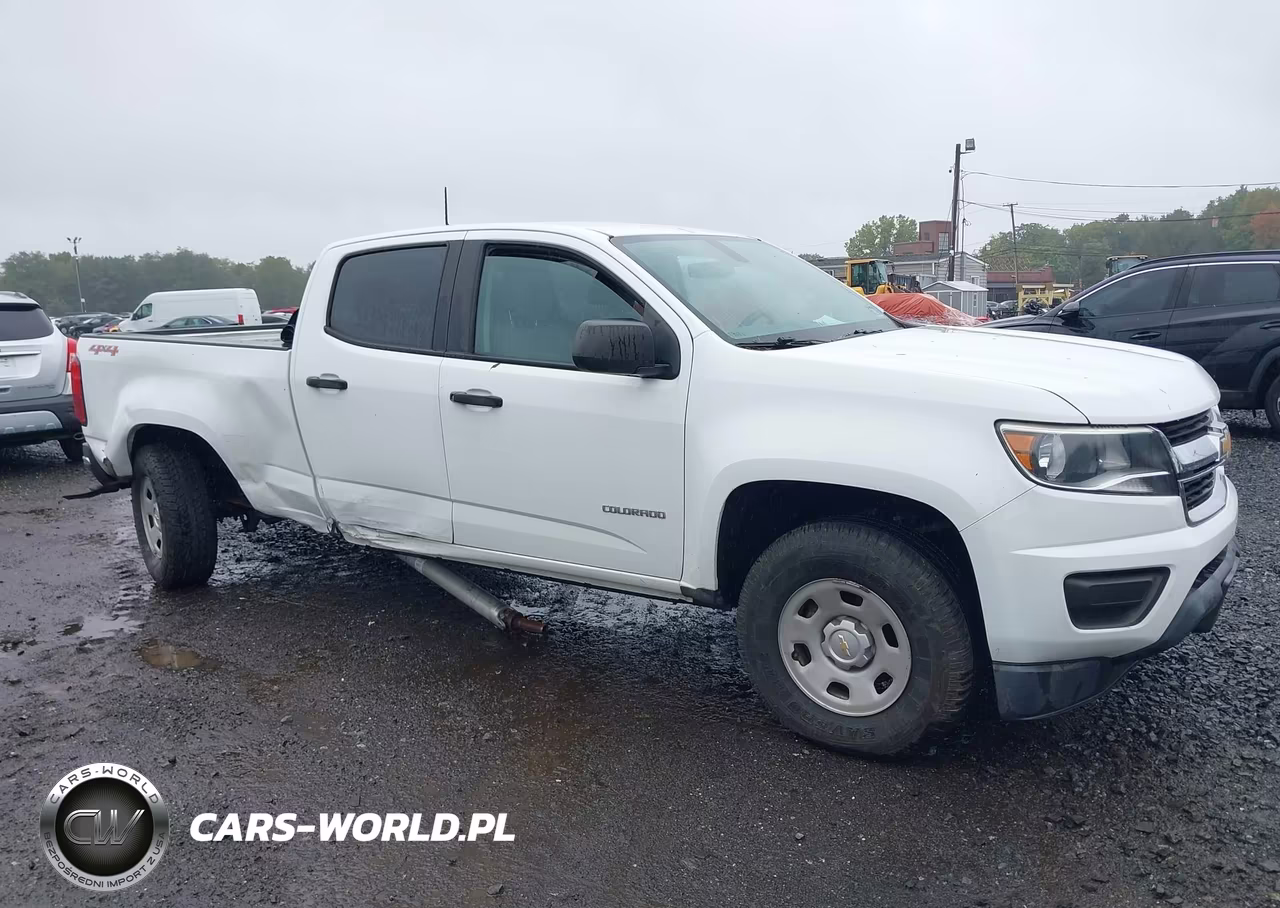 2016 Chevrolet Colorado 4Wd Wt VIN:1GCGTBE31G1364162 - 17