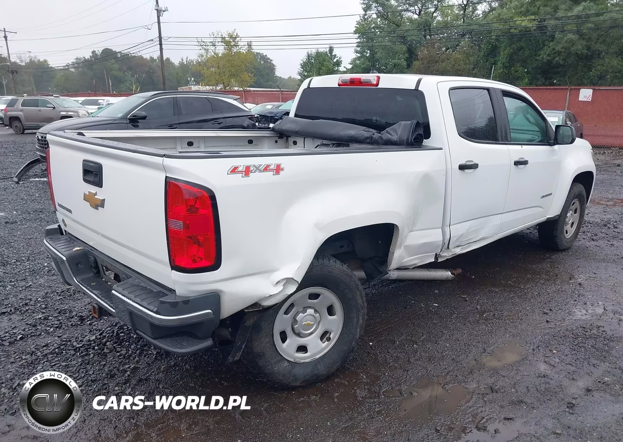 2016 Chevrolet Colorado 4Wd Wt VIN:1GCGTBE31G1364162 - 4
