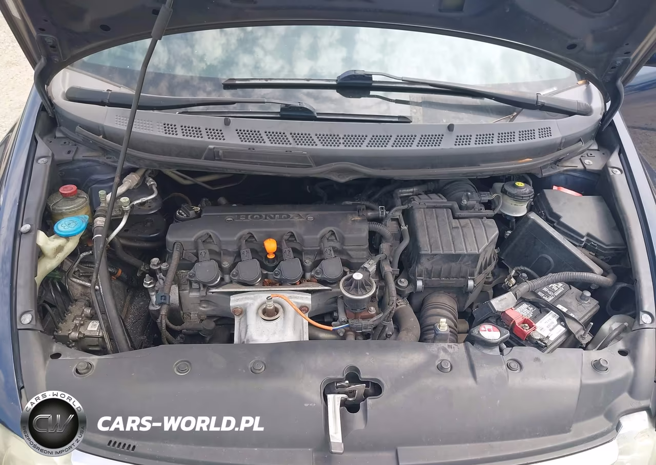 2010 Honda Civic Lx VIN:19XFA1F5XAE004565 - 10