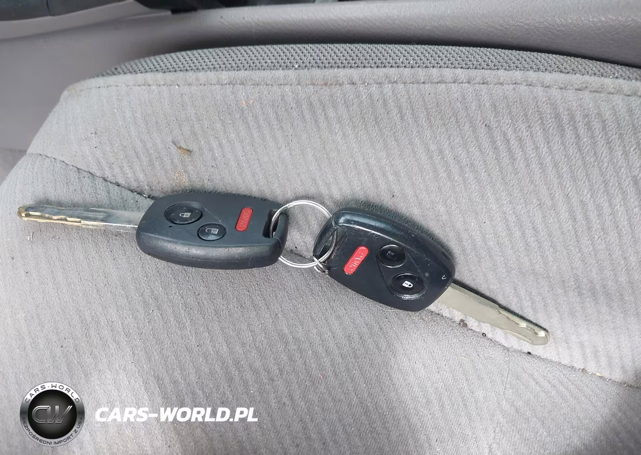 2010 Honda Civic Lx VIN:19XFA1F5XAE004565 - 11