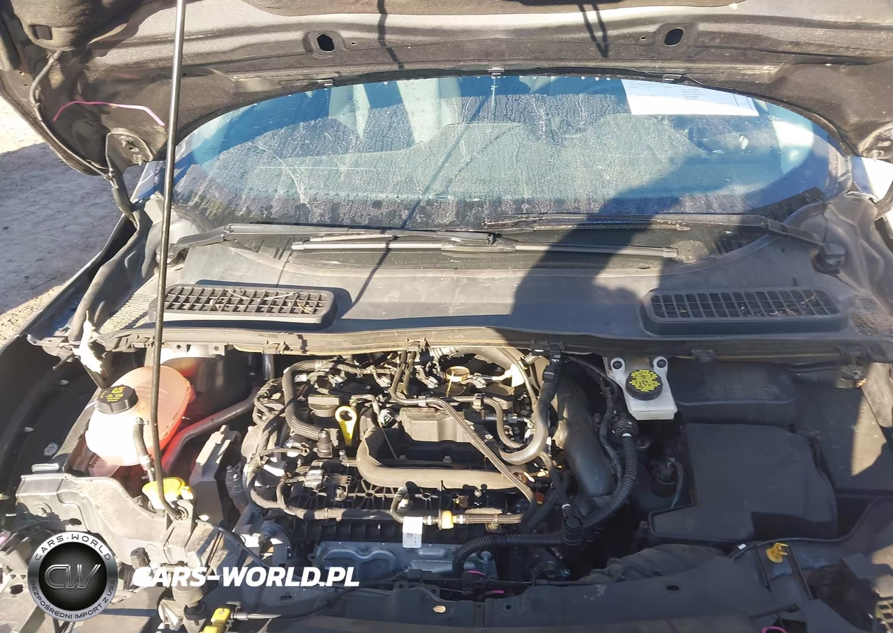 2019 Ford Escape Se VIN:1FMCU9GD9KUC27001 - 10
