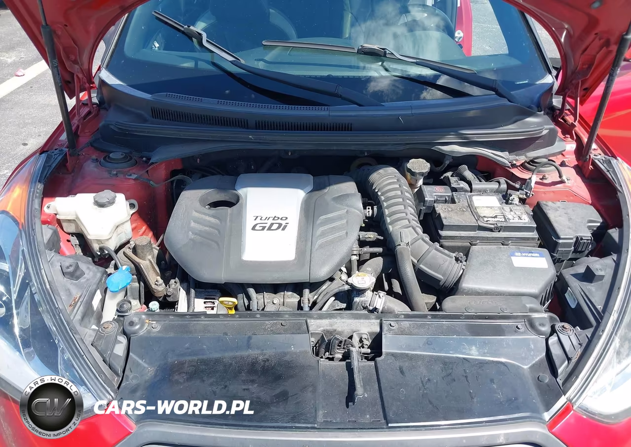 2016 Hyundai Veloster Turbo VIN:KMHTC6AE2GU292380 - 10