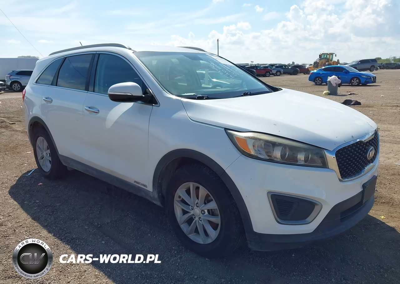 2017 Kia Sorento 3.3L Lx VIN:5XYPGDA52HG207815 - 1