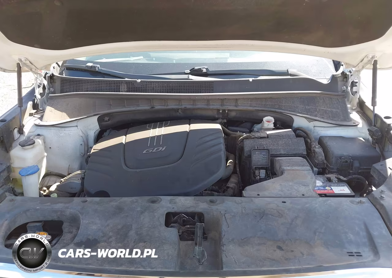 2017 Kia Sorento 3.3L Lx VIN:5XYPGDA52HG207815 - 10
