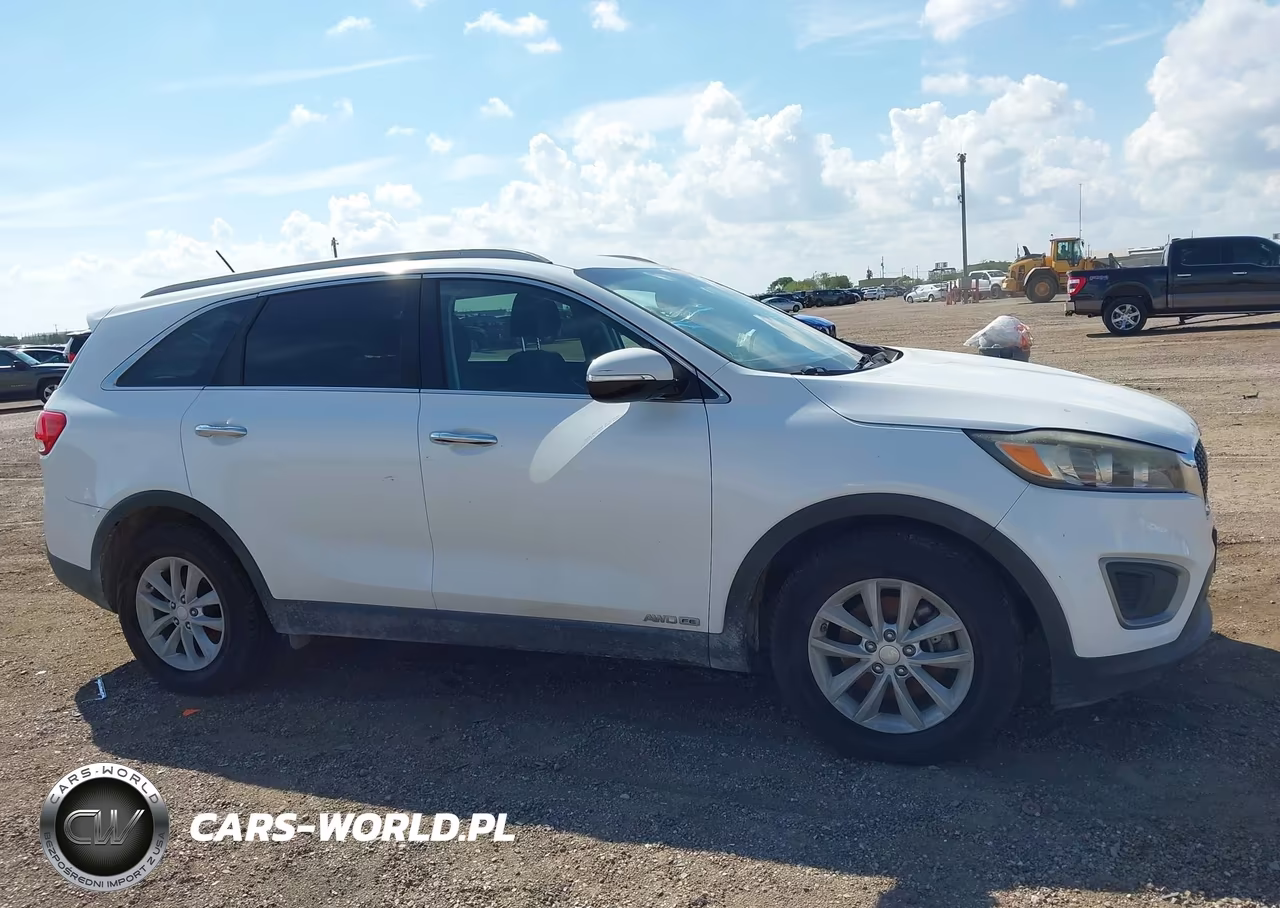 2017 Kia Sorento 3.3L Lx VIN:5XYPGDA52HG207815 - 13