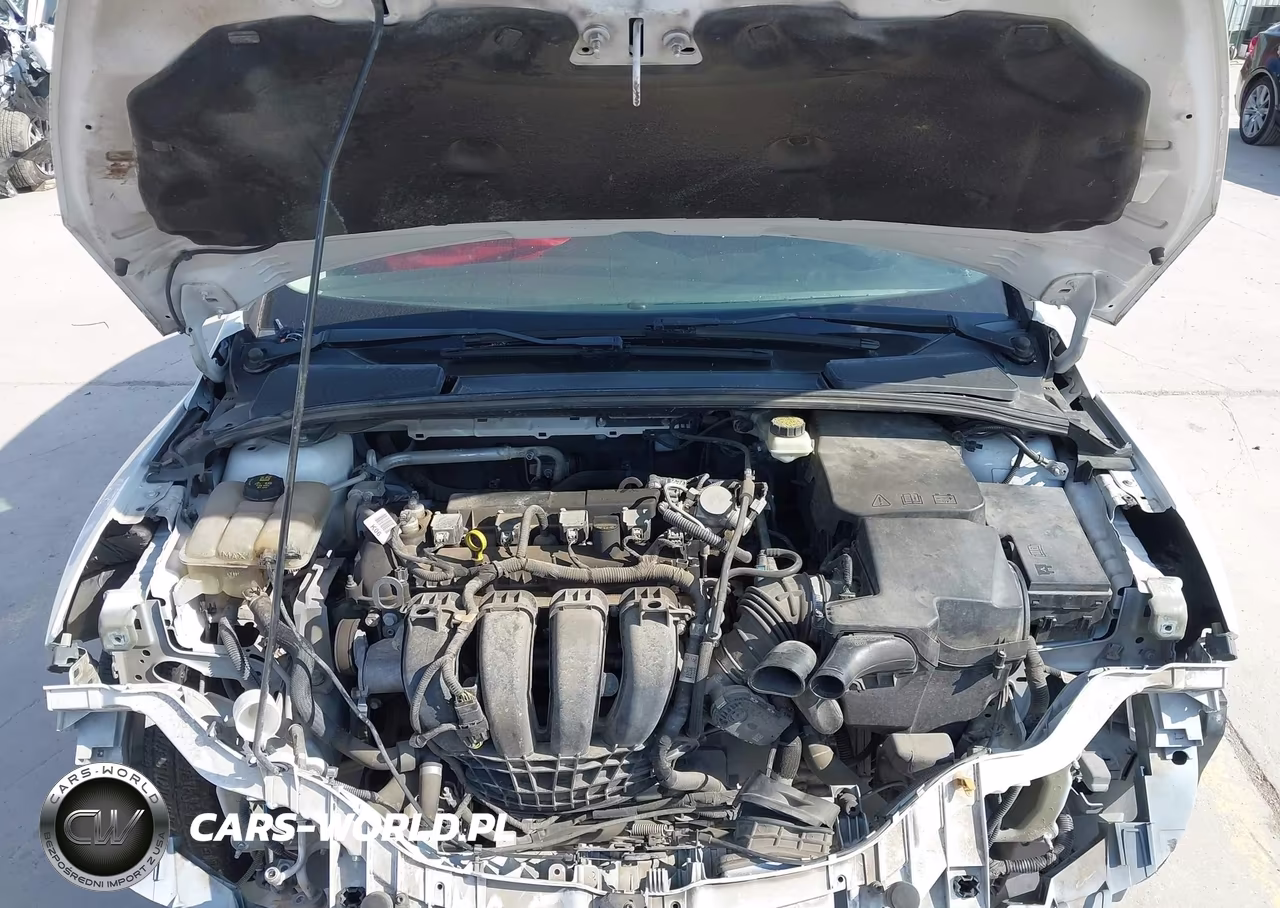 2017 Ford Focus Se VIN:1FADP3F23HL217338 - 10