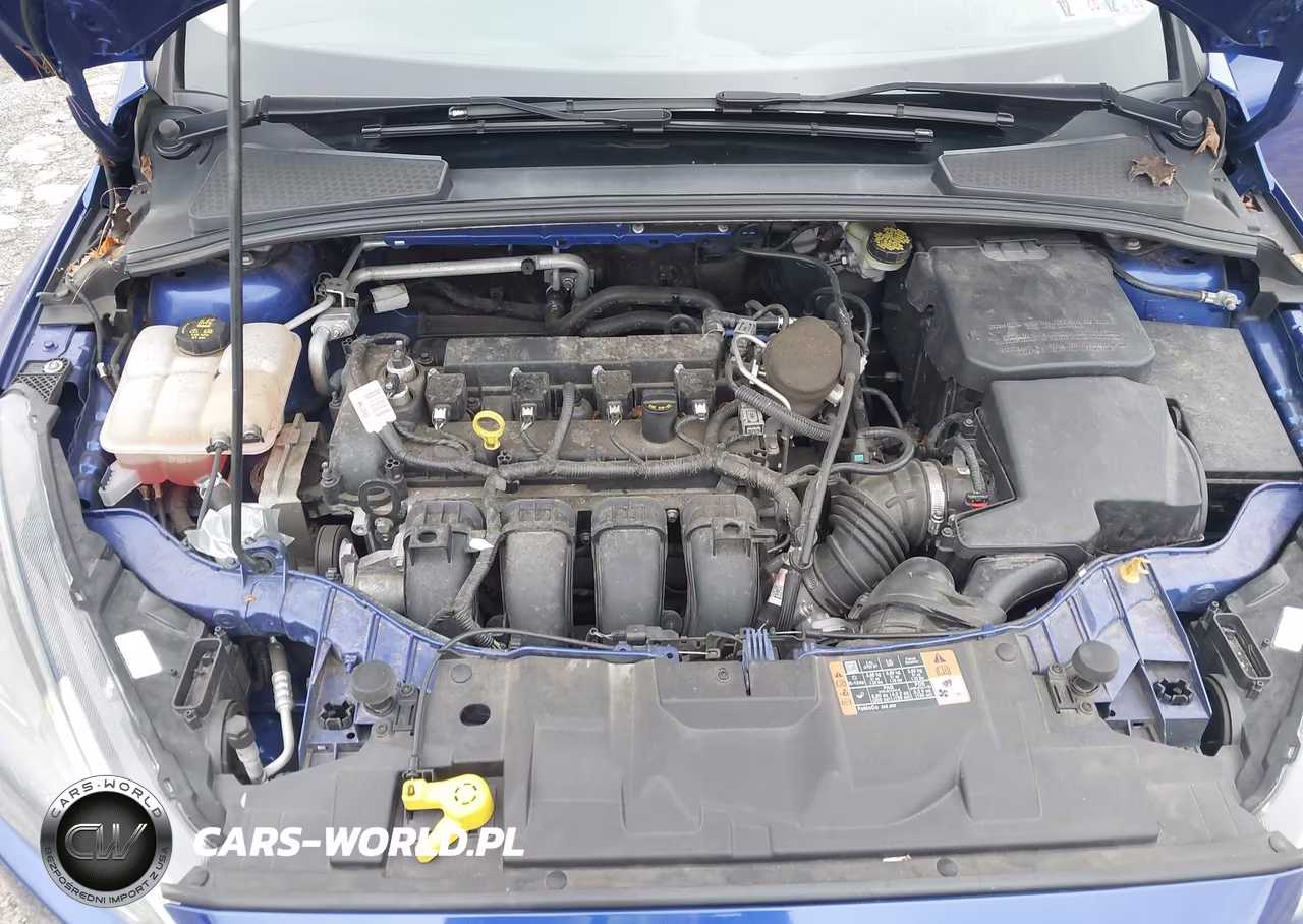 2015 Ford Focus Se VIN:1FADP3K23FL279471 - 10