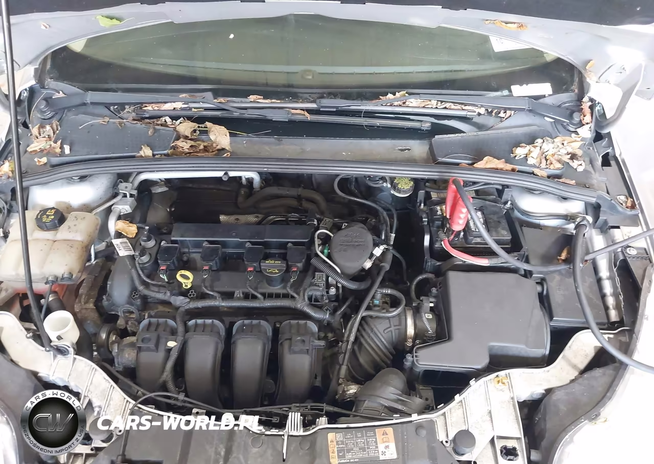 2014 Ford Focus Se VIN:1FADP3F23EL319783 - 10