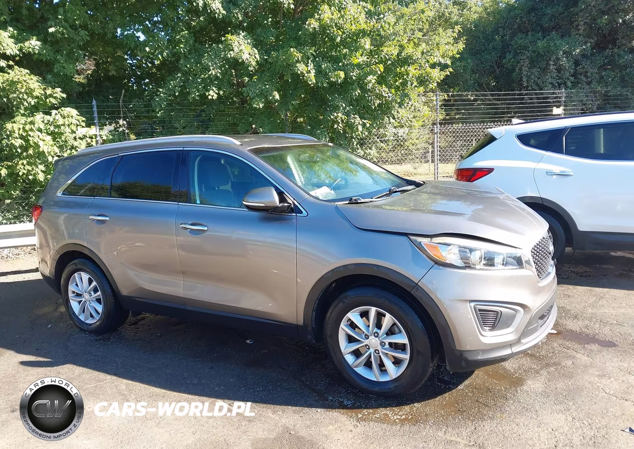2017 Kia Sorento 2.4L Lx VIN:5XYPG4A3XHG222349 - 13