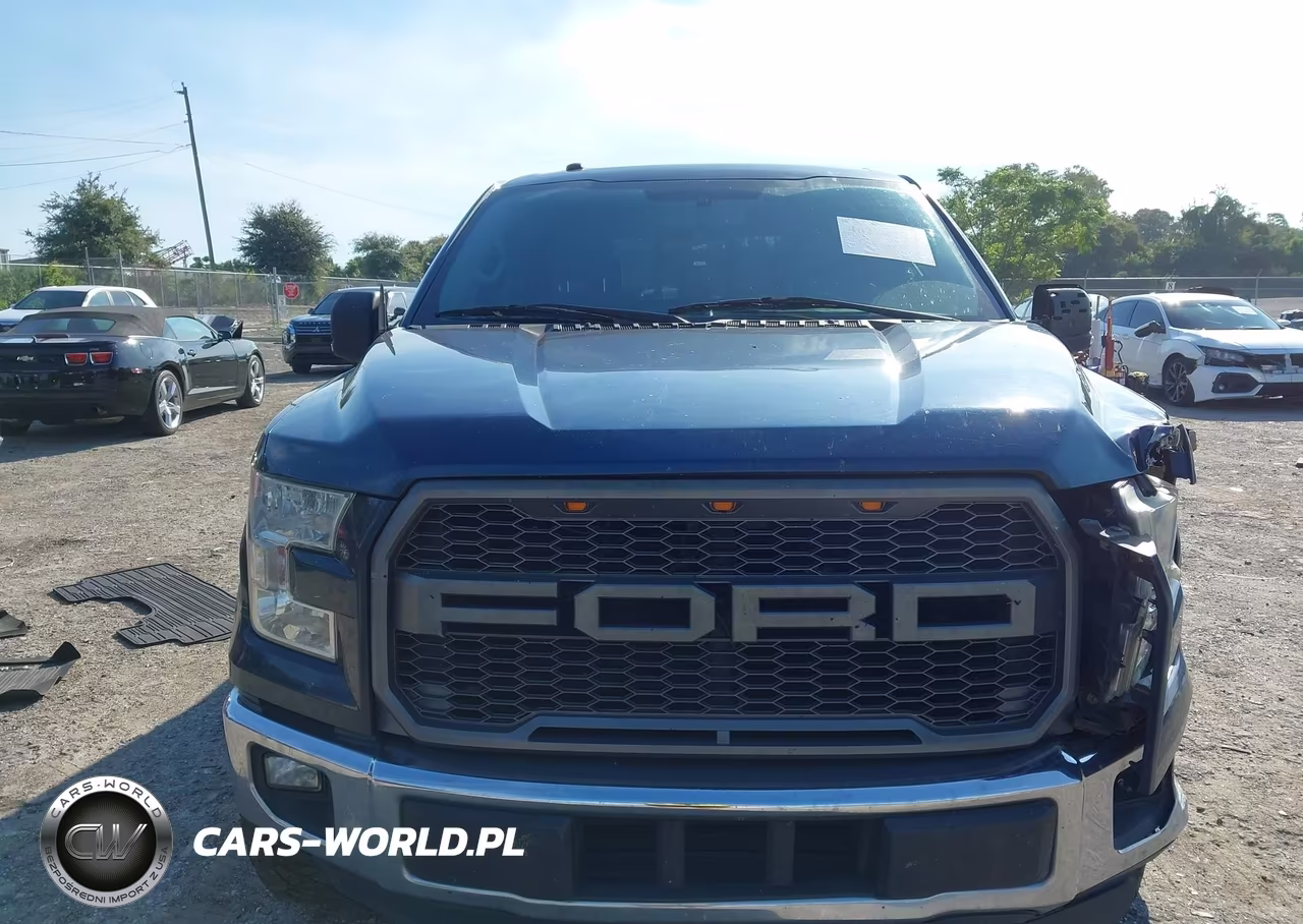 2016 Ford F-150 Xlt VIN:1FTEW1CP4GFD32100 - 12