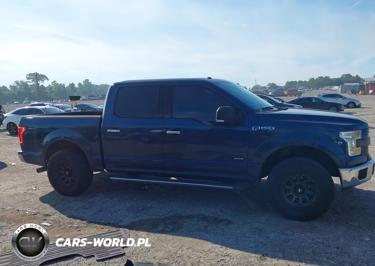 2016 Ford F-150 Xlt VIN:1FTEW1CP4GFD32100 - 13