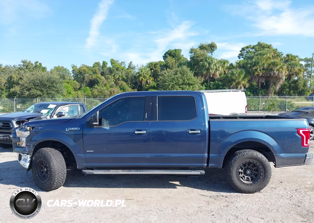 2016 Ford F-150 Xlt VIN:1FTEW1CP4GFD32100 - 14