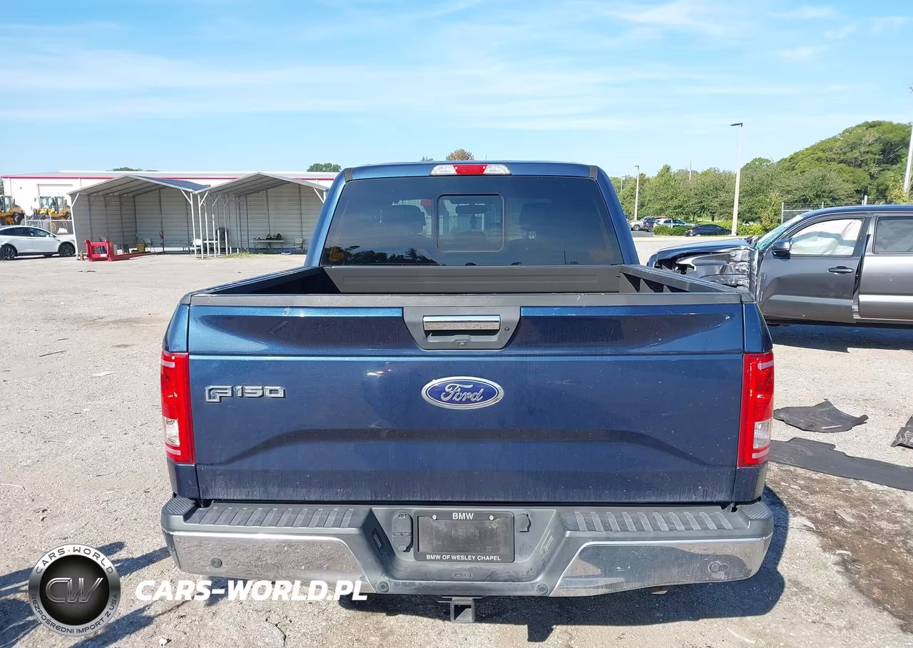 2016 Ford F-150 Xlt VIN:1FTEW1CP4GFD32100 - 16