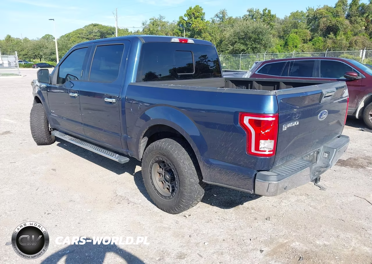 2016 Ford F-150 Xlt VIN:1FTEW1CP4GFD32100 - 3