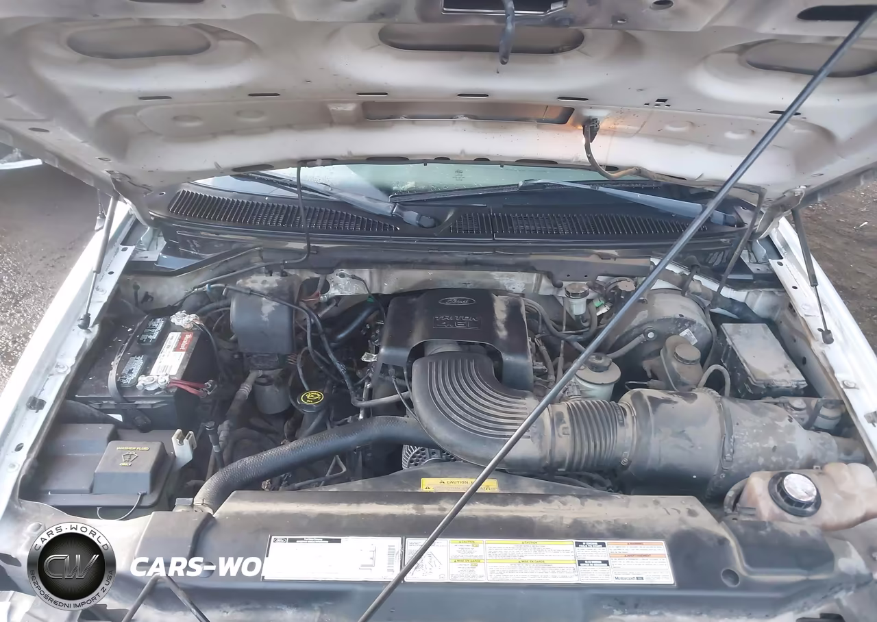 1999 Ford F-150 Lariat-Work Series-Xl-Xlt VIN:1FTRX17W9XKC15586 - 10